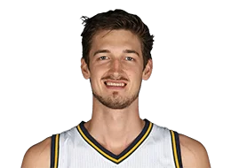 Pleiss, Tibor
