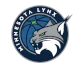 Minnesota Lynx
