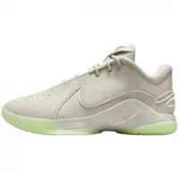 NIke Zoom  Lebron 22 Dunkman