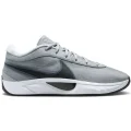 Nike Nike Giannis Zoom Freak 6 TB Wolf grey