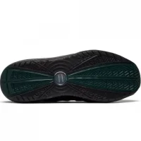 Nike Zoomo LeBron 7 FAMU