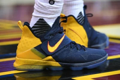 Nike Lebron 14